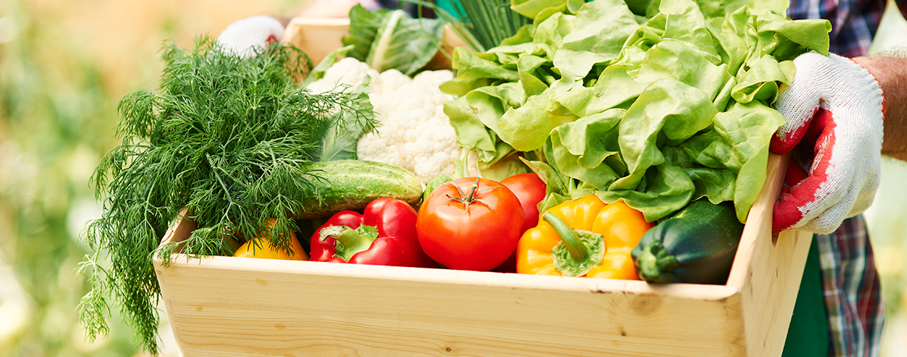 Quelles sont les particularités des légumes cuits sous vide?